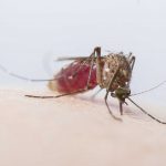 Public Health confirms third local Zika case