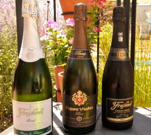 Cava from Spain typically has acidity similar to Champagne. - Photos: Alan Markoff