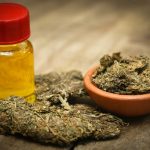 EDITORIAL – Cannabis oil – or political snake oil?