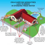 Health officials: Use bug spray, clean yards
