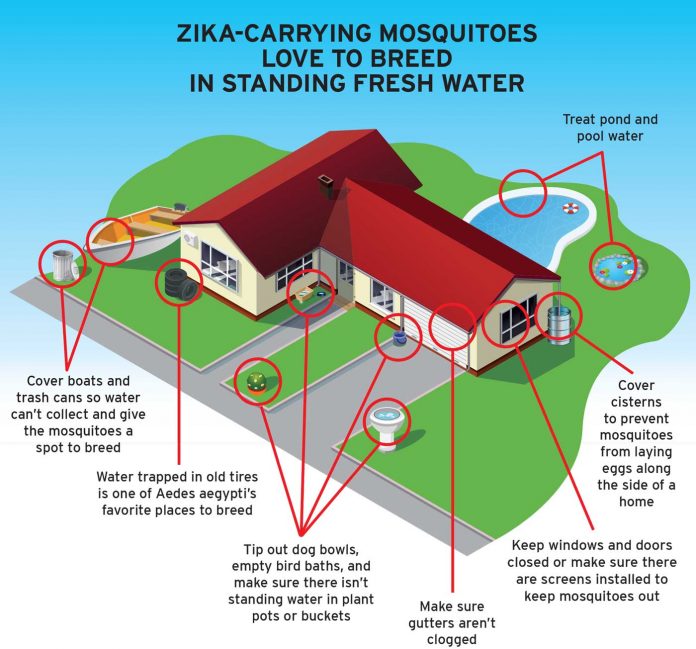 Mosquito-Prevention-(Read-Only)