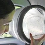 Two local Zika cases confirmed