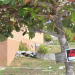 Reforms needed for landlord/tenant legislation