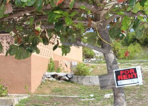 EE-for-rent-sign-on-tree-(Read-Only)