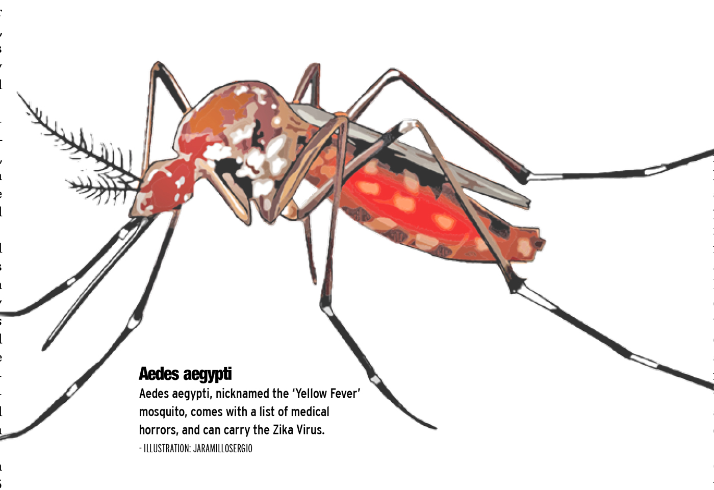 A guide to Cayman's public enemy No. 1 mosquitoes Cayman Compass