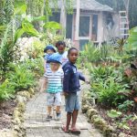 Children’s garden hopes to bring a science book to life