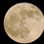 Harvest moon over West Bay