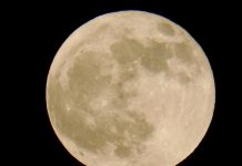 Harvest moon over West Bay