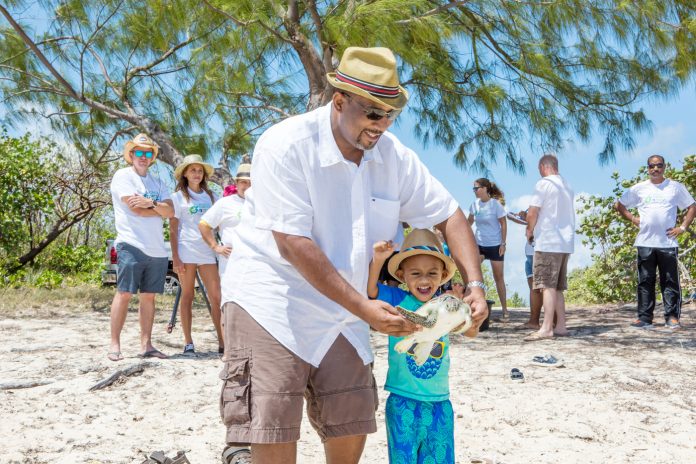 turtle-farm-release-23-may-2016
