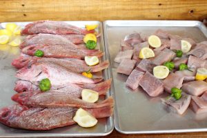 Snapper and mahi mahi ready for the grill.