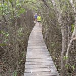 Trust seeks eastern district volunteers