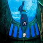 Into the blue