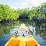 Premier: Environmental Protection Fund to remain under LA control