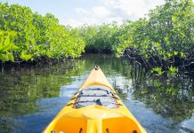 Premier: Environmental Protection Fund to remain under LA control