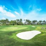 Britannia, Dart in dispute over golf course
