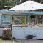 Conch shell stalls a familiar sight in Cayman’s eastern districts
