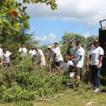 Deloitte volunteers clear logwood at Mission House