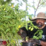 How one Bodden Town family went organic
