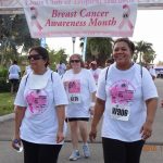 Lions mark 20 years of breast cancer awareness