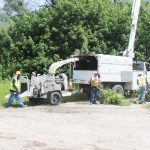 Tree clearing spurs safety reminder