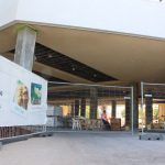 Hundreds turn out for Margaritaville jobs drive