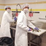 Business targets green iguanas for export