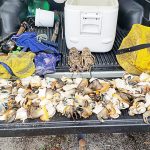 Department of Environment reminds public not to poach