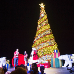 Thousands celebrate tree lighting