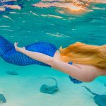 Festival of Seas chooses nautical theme