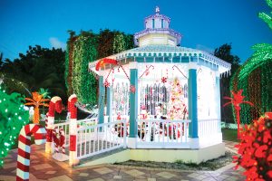 Houses known for their annual displays start decorating early. - Photo: Stephen Clarke