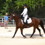 Dressage Series kicks off