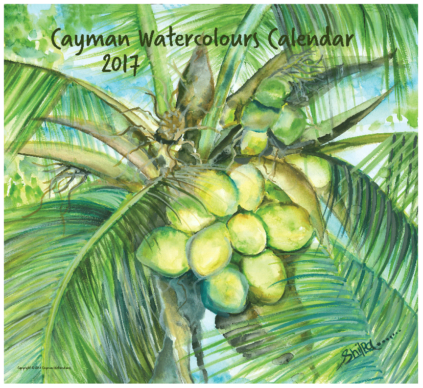 Put Cayman Watercolours Calendar on your list Cayman Compass