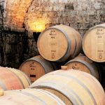 Learn your wine terms: Are you a phylloxera?