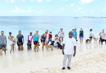 For 10 years, beach training goes to the dogs