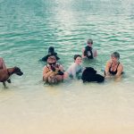 Beach training for dogs marks 10th anniversary