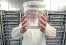 Release of genetically modified mosquitoes to resume this month