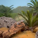 Cayman’s conservation success story told in New York
