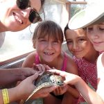 Prep students get tourism insights in Turtle Centre visit