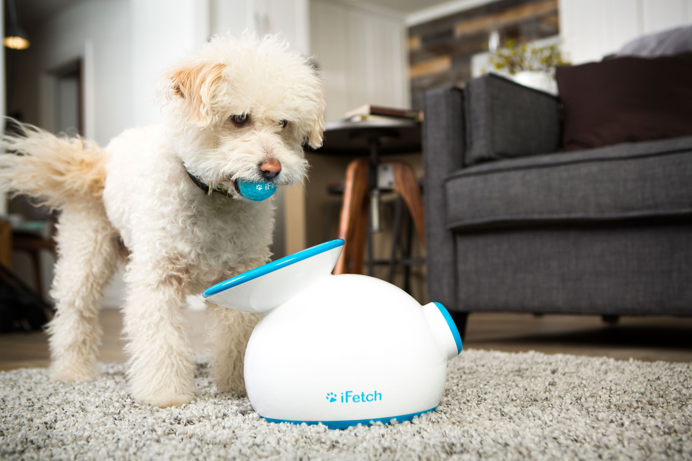 ifetch-ready-to-play