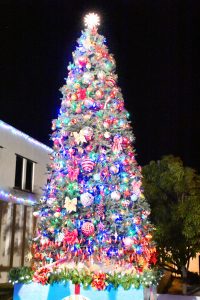 Hundreds turned out for the Christmas tree lighting in front of the Brac District Administration Building.