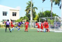 Exciting matches highlight Primary League playoffs