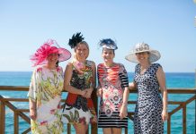 Hats ‘Gone Wild’
