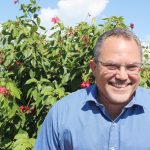 Importers work to bring legal cannabis extracts to Cayman