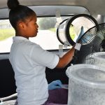 GM mosquitoes making an impact in West Bay