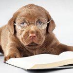 Better ‘bone up’ on your general knowledge