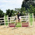 Horse show beats the holiday rush
