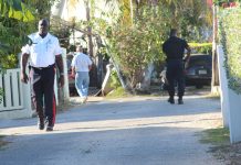 Woman arrested at scene of fatal police shooting