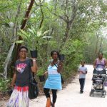 Botanic Park offers plants for sale