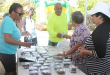 Garden party carries on New Year tradition