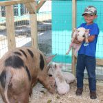 EDITORIAL – Agriculture Show offers a chance to reconnect